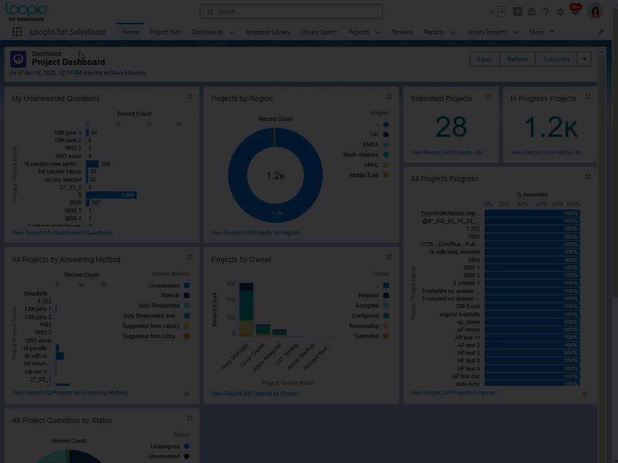 Loopio Apps Project Reports.gif