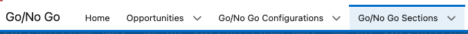 Go No-Go Sections tab (2).png