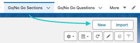New Go No-Go Section button.png