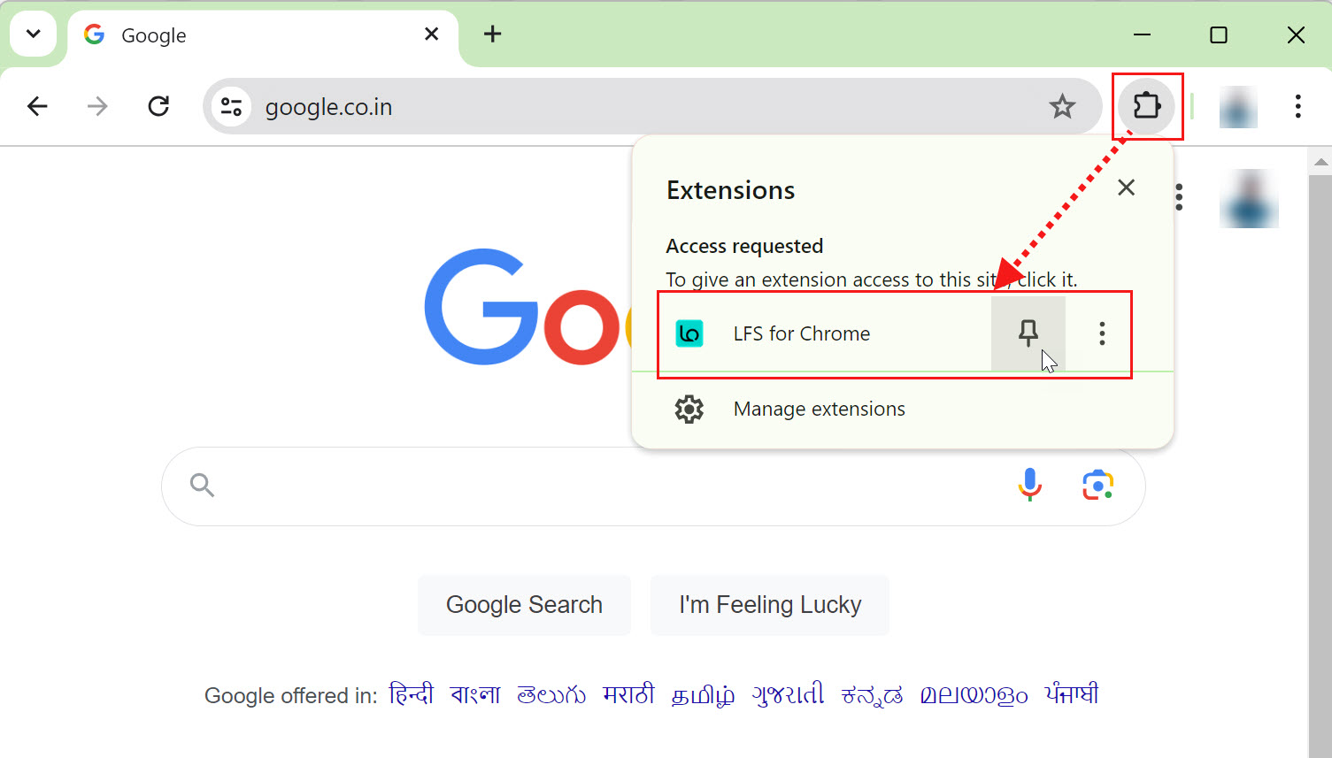 Pin the extension.jpg
